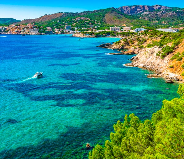 mallorca demo hotel hotetec